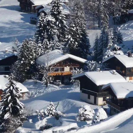 Montagne Proche Piste De *